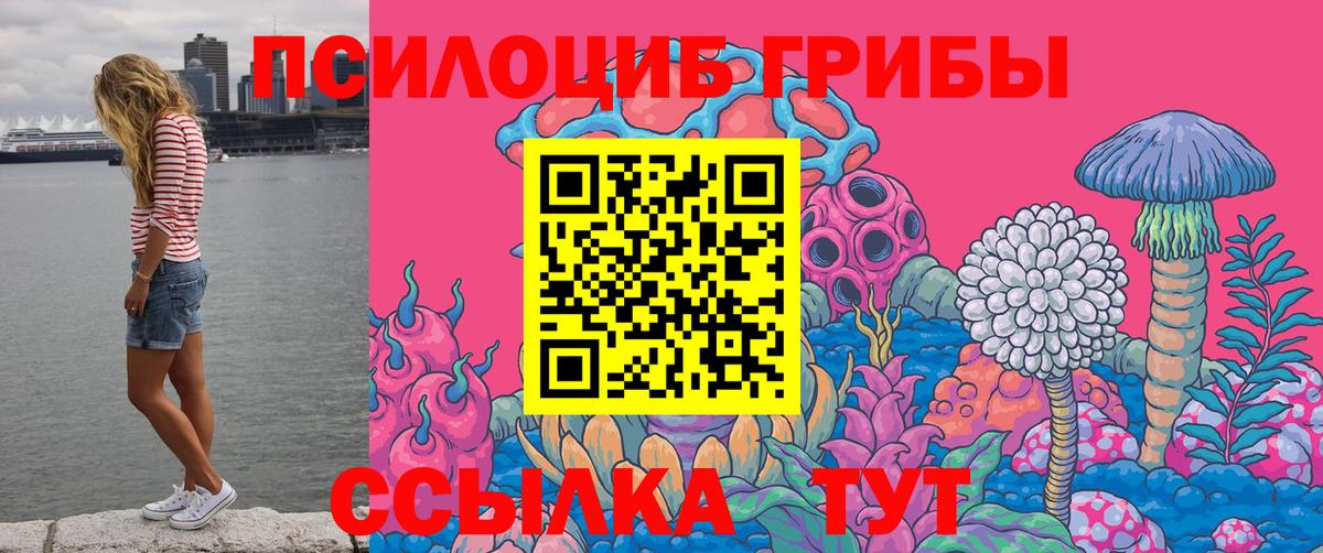 Галлюциногенные грибы прущие грибы Рассказово