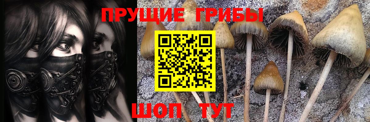 Псилоцибиновые грибы мухоморы  Вход с VPN  Рассказово 